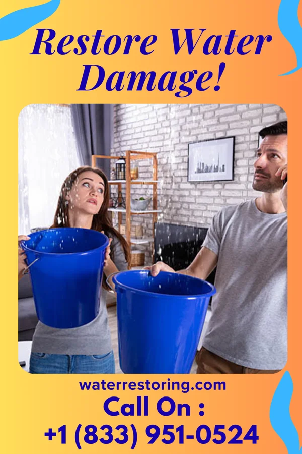 water restoration Victory Water Damage Crew Ebro
