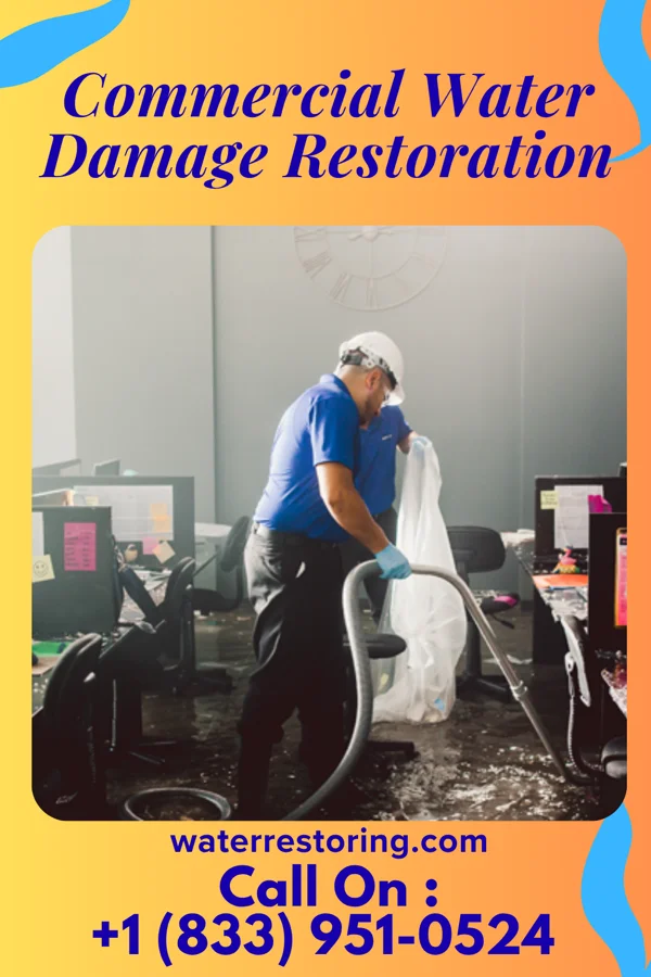 Commercial Water Damage Restoration in Ebro, MN